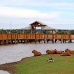 Prefeitura de Três Lagoas inaugura Deck da Lagoa Maior