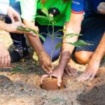 Certificação da ONU, novas praças, suporte à pesquisa e ao homem do campo marcaram a gestão no Meio Ambiente