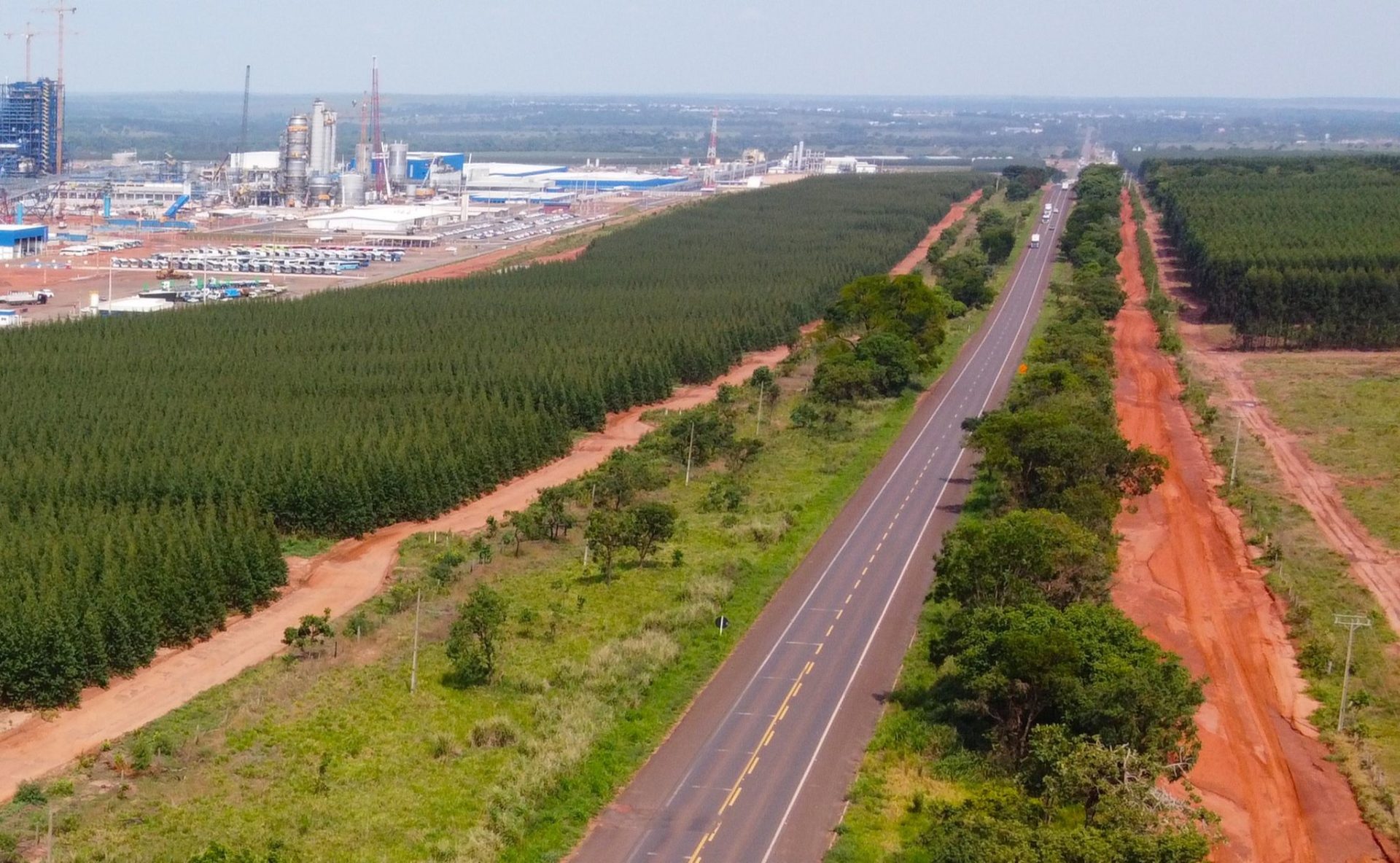 Governo suspende concessão da Rota da Celulose após questionamento sobre consórcio vencedor