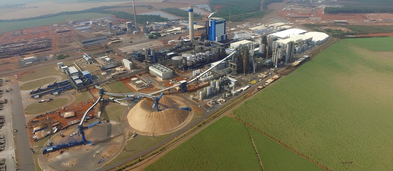 Mato Grosso do Sul em rota para se tornar o maior produtor de celulose do Brasil em uma década
