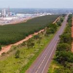 Justiça declara incompetência e ação contra leilão da Rota da Celulose segue para o TJMS