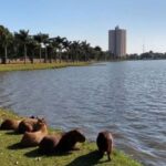 Três Lagoas inicia semana com tempo firme e ampla variação térmica
