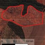 MPMS apura desmatamento e queima ilegal de 324 hectares em Paranaíba