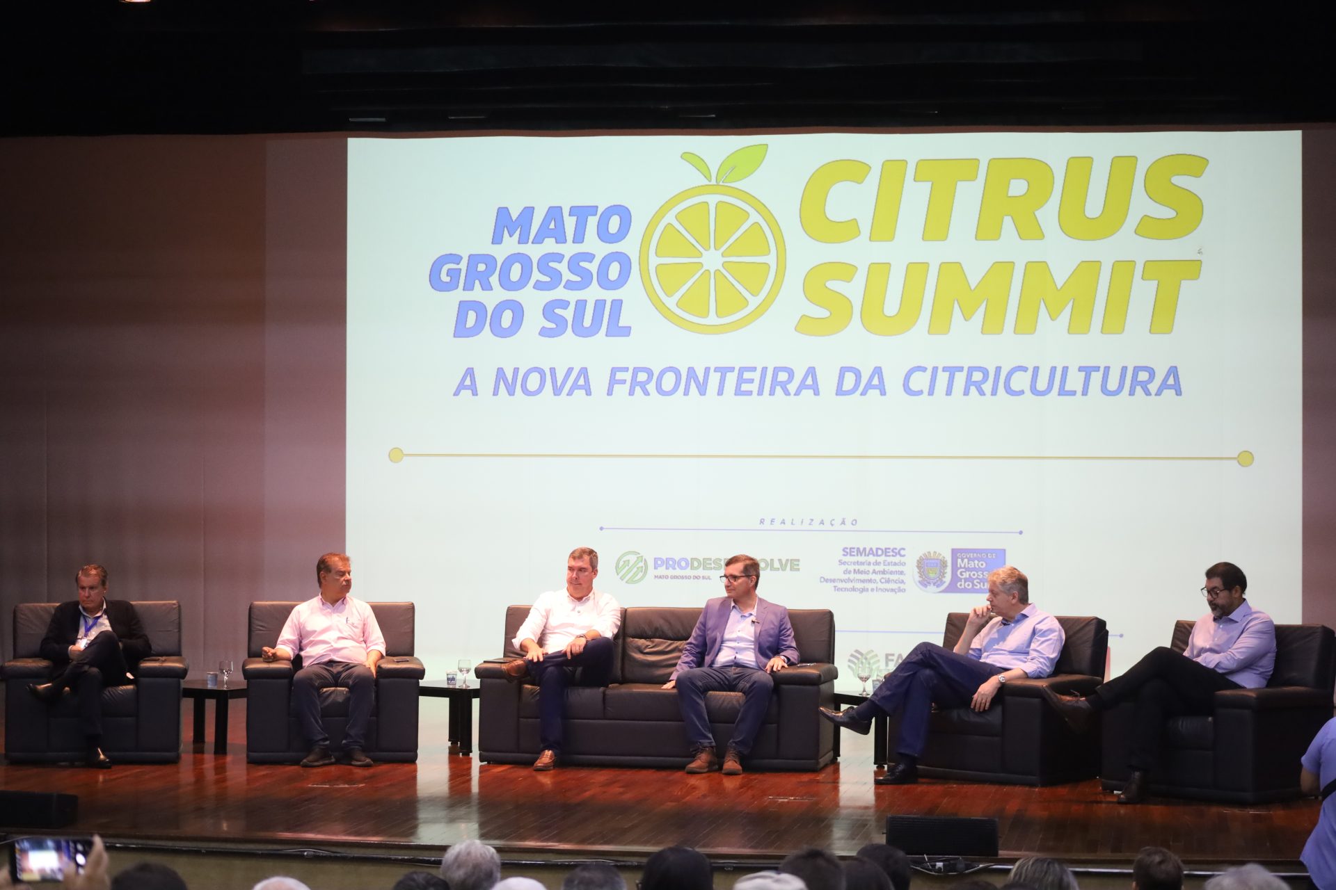 Citricultura de MS avança como nova fronteira agrícola brasileira