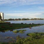 Calor Extremo: MS enfrenta semana com temperaturas acima de 40°C