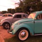 Fusqueiros de Três Lagoas ganham reconhecimento: Associação é declarada de utilidade pública