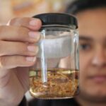 Descarte incorreto de alimentos contribui para aumento de escorpiões nas residências