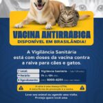 Vigilância Sanitária de Brasilândia disponibiliza vacinação antirrábica para cães e gatos