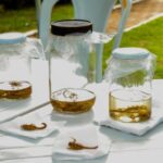 SMS realiza Blitz Educativa sobre prevenção e cuidados com escorpiões em Três Lagoas