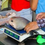 PROCON-TL divulga pesquisa de preços para a Semana Santa