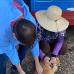 Castramóvel inicia 76ª etapa no bairro Novo Oeste com agendamentos a partir de 30 de março