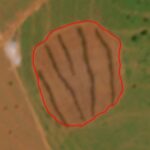 MP investiga desmatamento ilegal de 11 hectares em reserva legal no Cerrado de MS