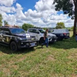 Homem é preso em flagrante com 70 m³ de eucalipto furtado avaliado em mais de R$ 10 mil em Brasilândia