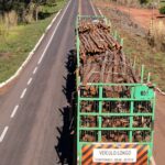 Projeto de recuperação de 13 rodovias em MS deve ser licitado apenas em 2027