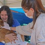 Castramóvel encerra atendimentos no Novo Oeste nesta quinta-feira (14) e segue para o bairro Interlagos na próxima terça-feira (18)