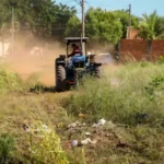 Prefeitura já multou 838 terrenos por falta de limpeza em 2026 e alerta para risco de queimadas urbanas