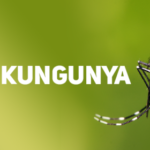 Saúde de Três Lagoas alerta para aumentos de Chikungunya no estado e reforça cuidados