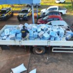 PRF apreende 4,7 toneladas de maconja escondidas em carga de sementes de girassol na BR-158, em Três Lagoas
