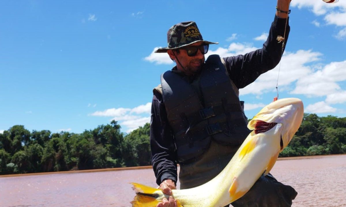 Instituto Água e Terra (IAT) realizou cinco grandes operações de fiscalização durante o período na Piracema no Paraná.