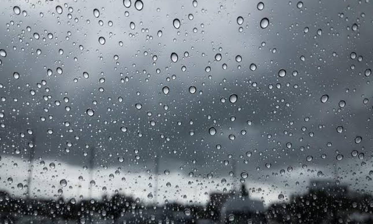 03060648-DB26-4754-B518-0E9172E3F0A4