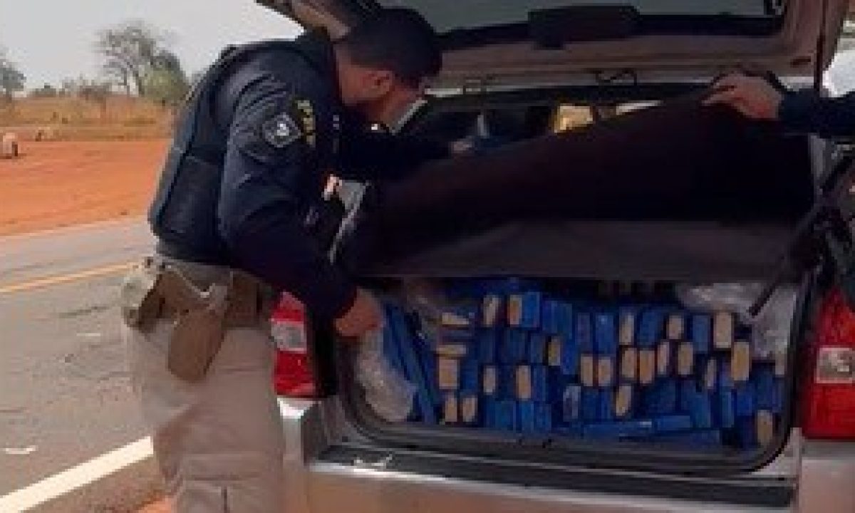 0a430e75-c72e-4fb9-b5ba-b2958c026267