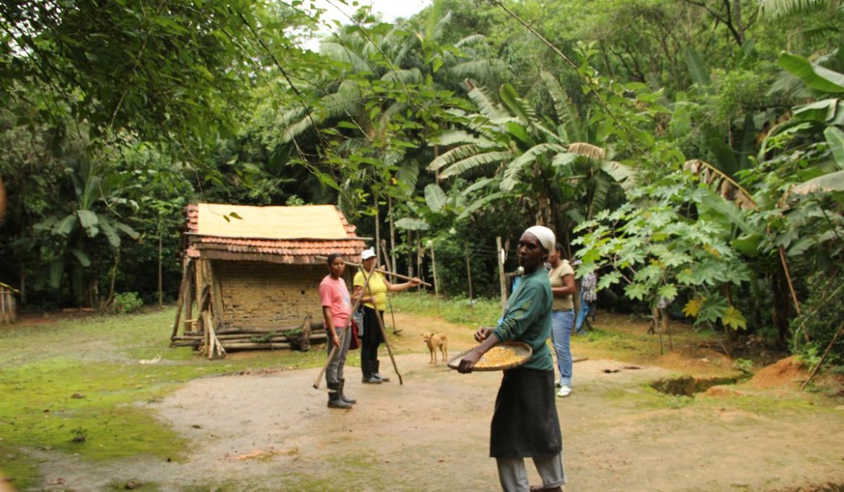 O sistema agrícola tradicional das comunidades quilombolas do Vale do Ribeira, no sudeste paulista