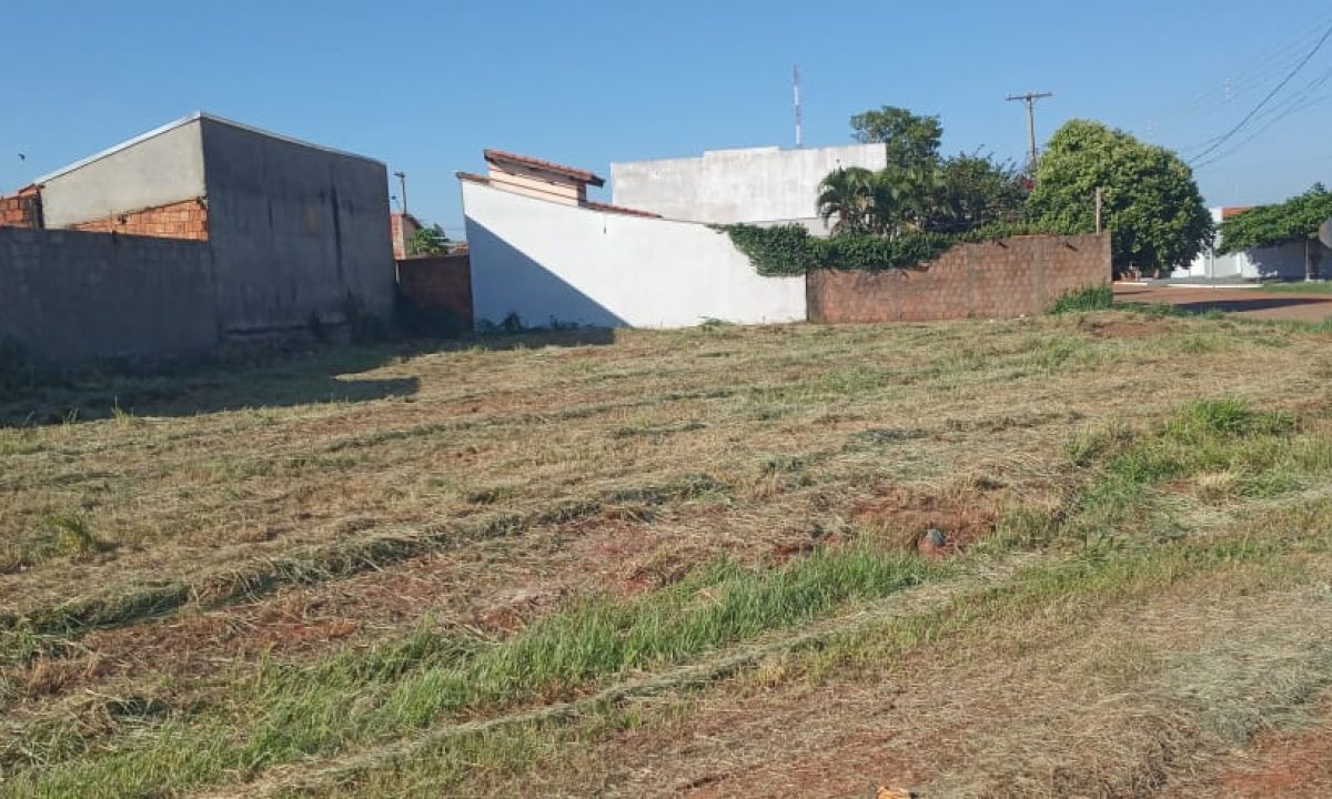 12e89012-1335-481f-8f12-5f25808104e1