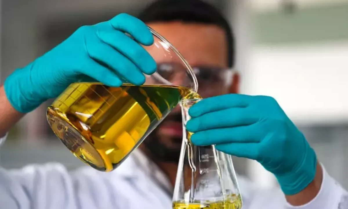 1317714531-4x6qtdfz45gnrdoybtdfnb3roq