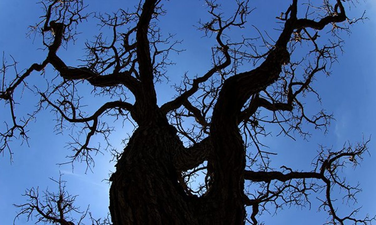 138CF198-7FBE-4688-8DE6-31A3F28E9411