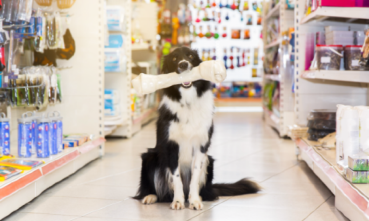 18-03-750x410-1-420x280_c