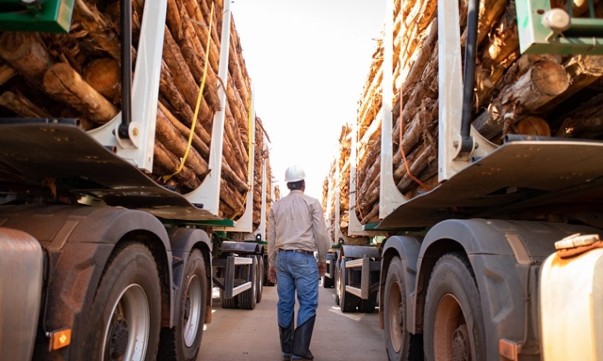 191101_ELDORADO_0199