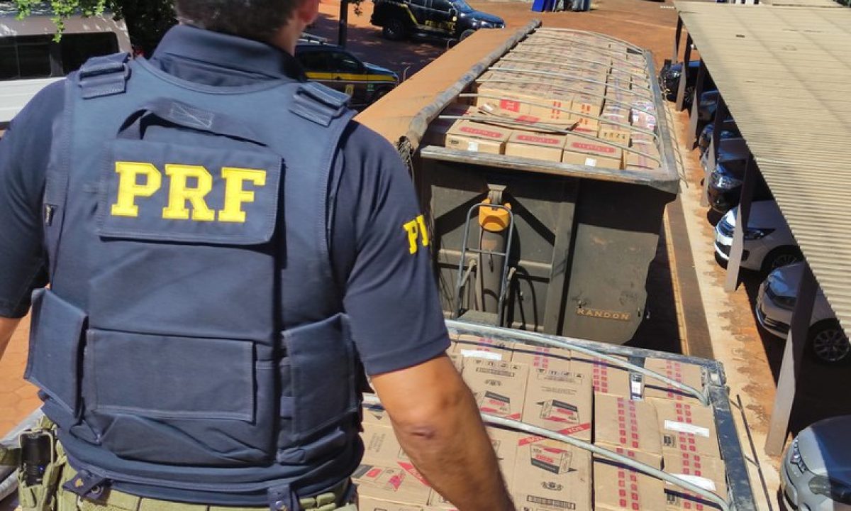 1ce271d5-a79a-4679-8771-b7399983a622