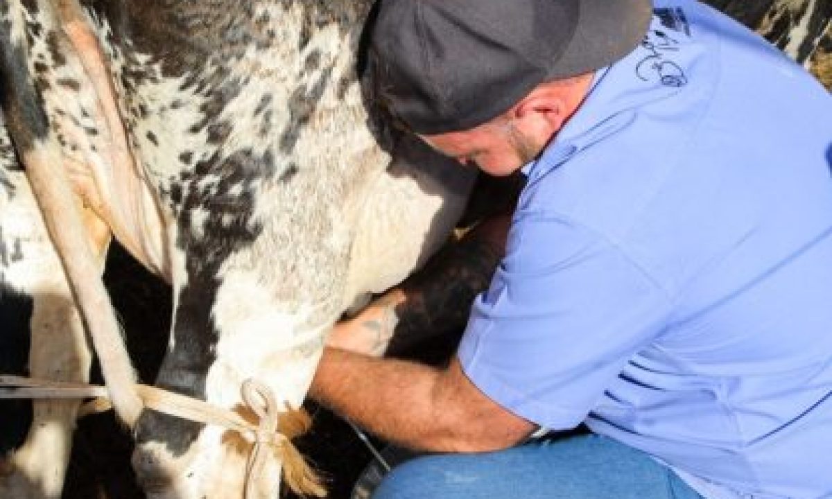 1o-Torneio-de-Leite-do-Arapua-19-scaled-420x280_c