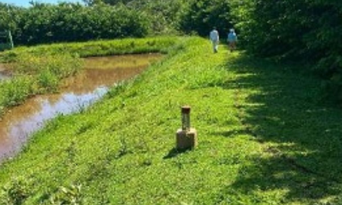 20250224_161031_original_lajeado_5_