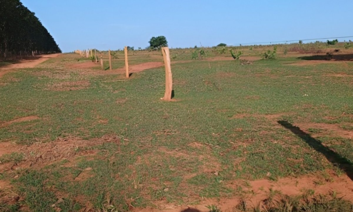 20250731_083438_original_WhatsApp_Image_2025-07-30_at_11.36.30