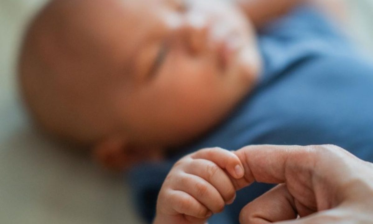 20260424_165558_original_WhatsApp_Image_2026-04-24_at_15.49.14