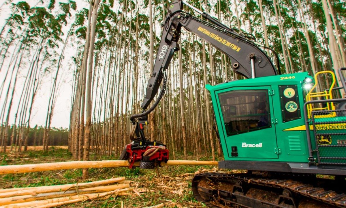 20918284807062023_WhatsApp_Image_2023-06-07_at_17.22.38 (1)