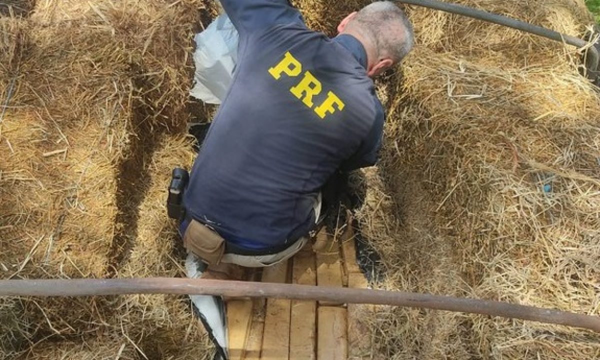 20e580fb-e692-4717-8c50-9e1a8f6a640f