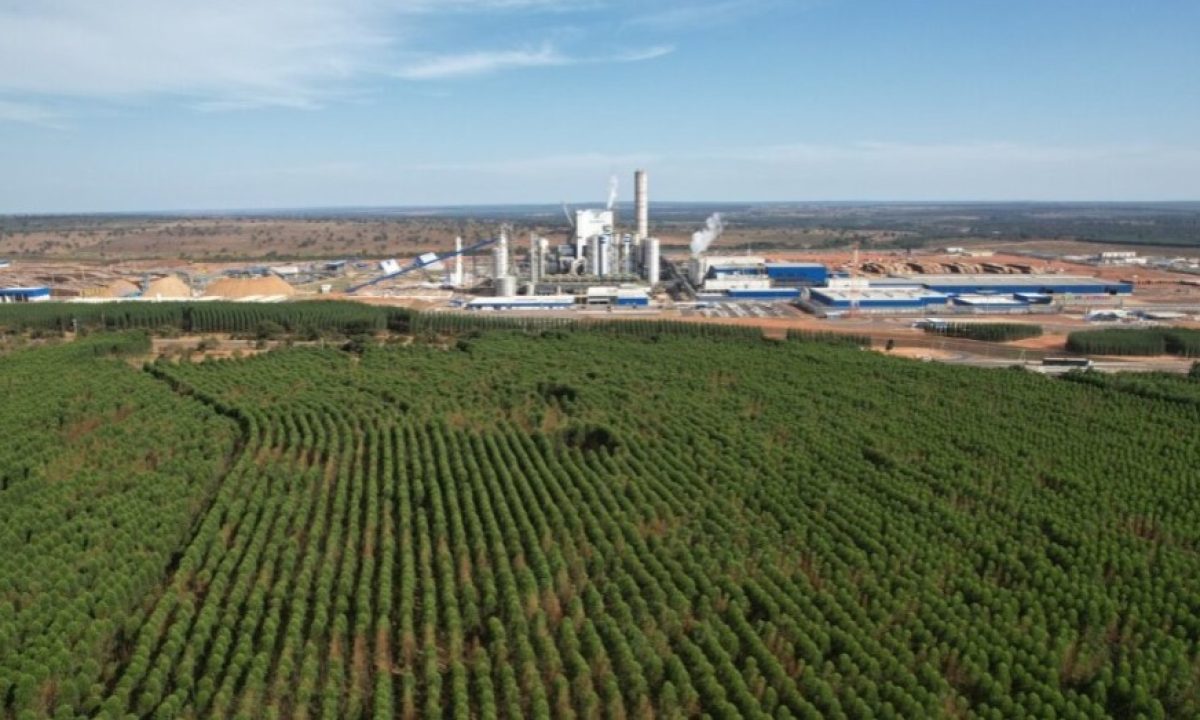 2275_whatsapp-image-2025-03-25-at-072813-jpeg