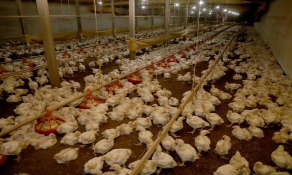 23C8A3A3-320F-4A2A-82D4-E4212990905F