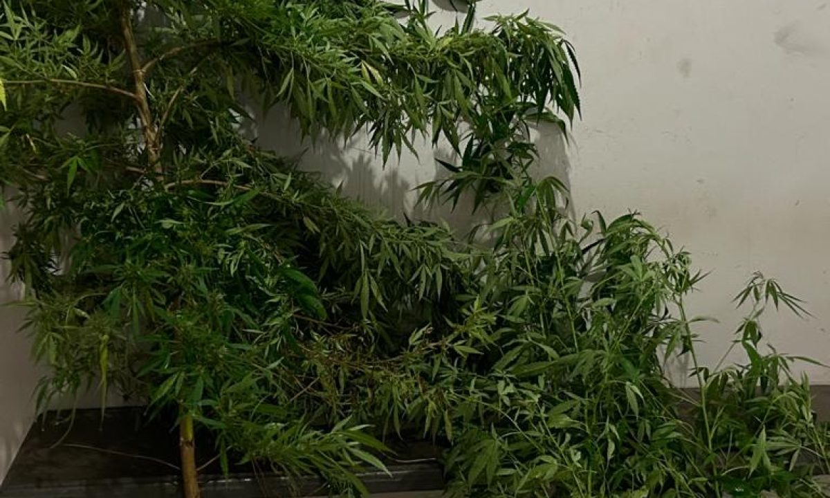 327164243_847597509872528_1428002881080252061_n