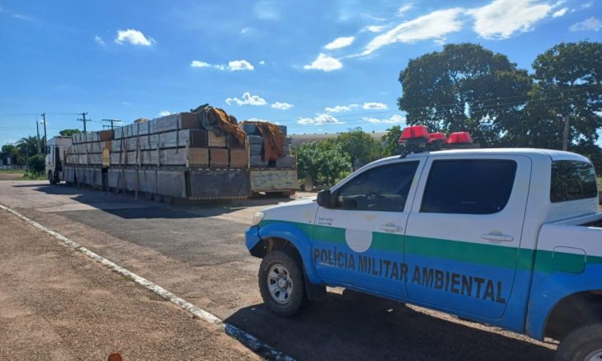 328b8c54-a148-4a53-8c9e-b1624385c719-730x480