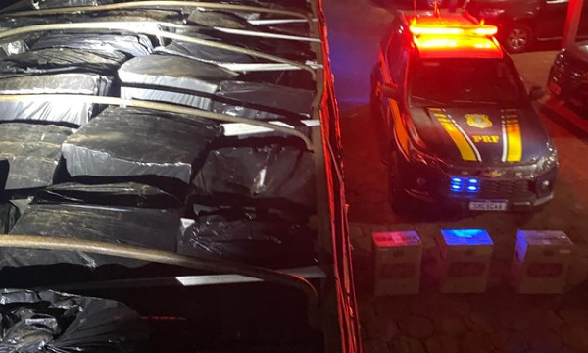 355e35c8-14cc-476f-8f1b-7bf70ae877f2