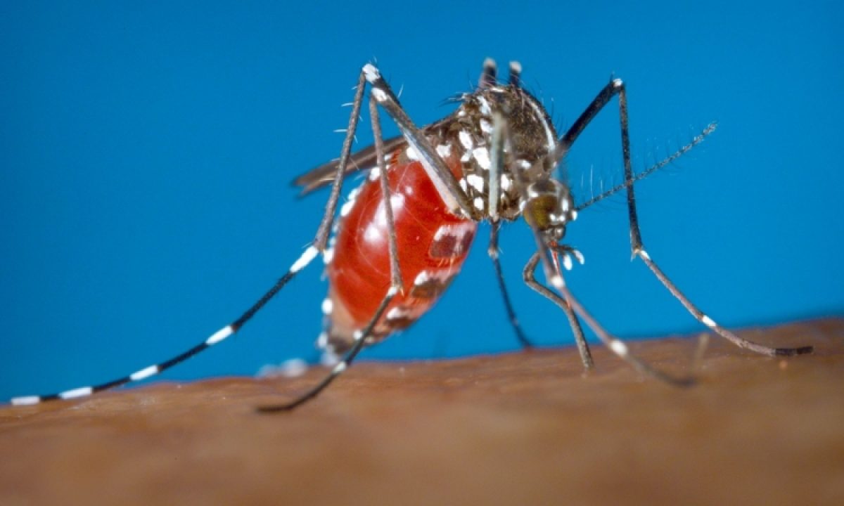 35733894fd79f97ecbb4ec0f212ad688