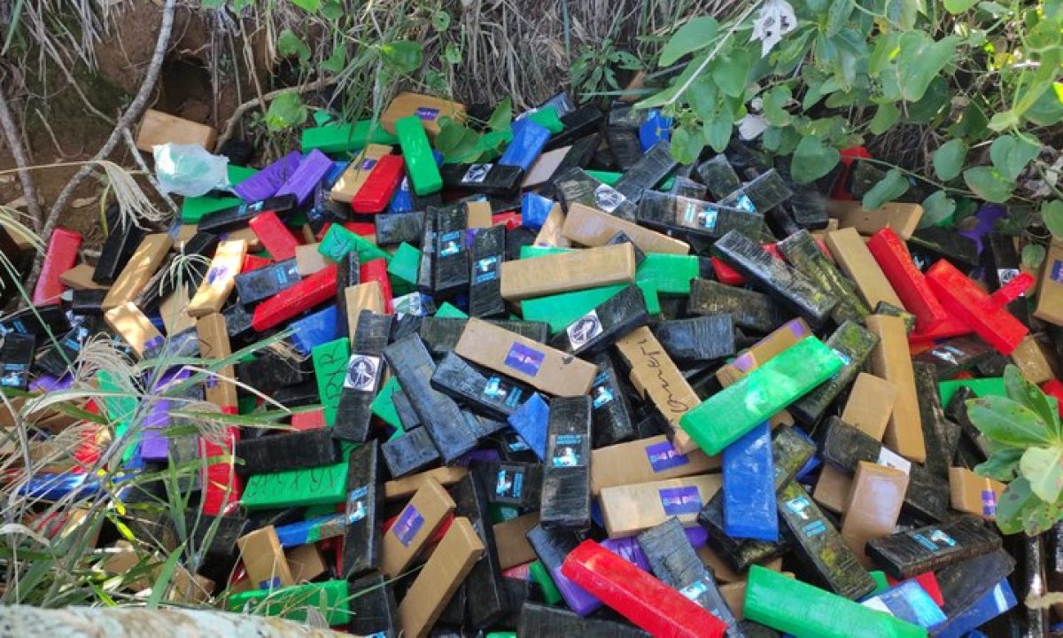 492e1418-2ee8-432d-8822-b767cbddc018