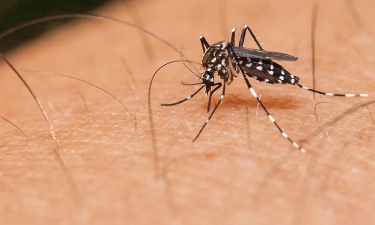 4f61868dd6568429bb8c02416bbcb53d