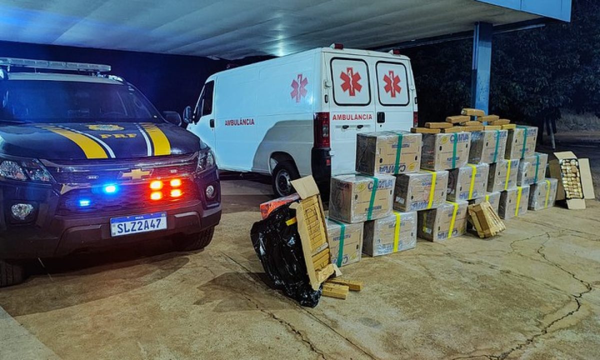 513ee17d-e6bd-488b-be70-3849d924ac28