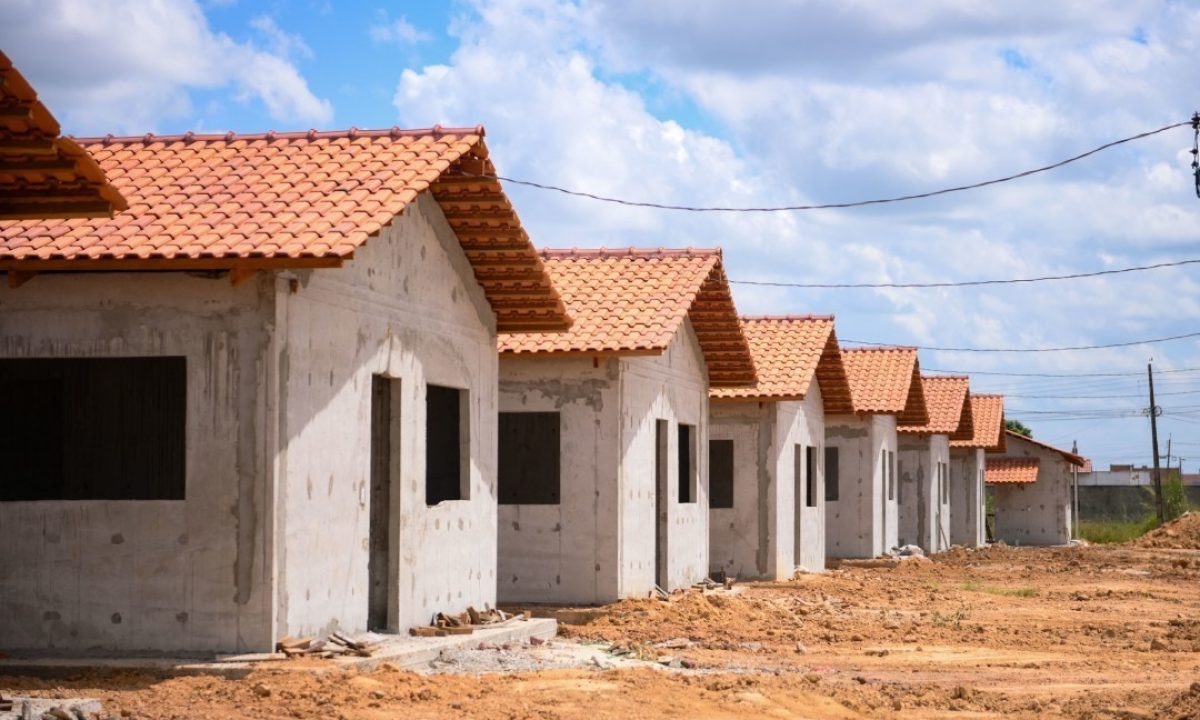 54877442659_91827ca002_k