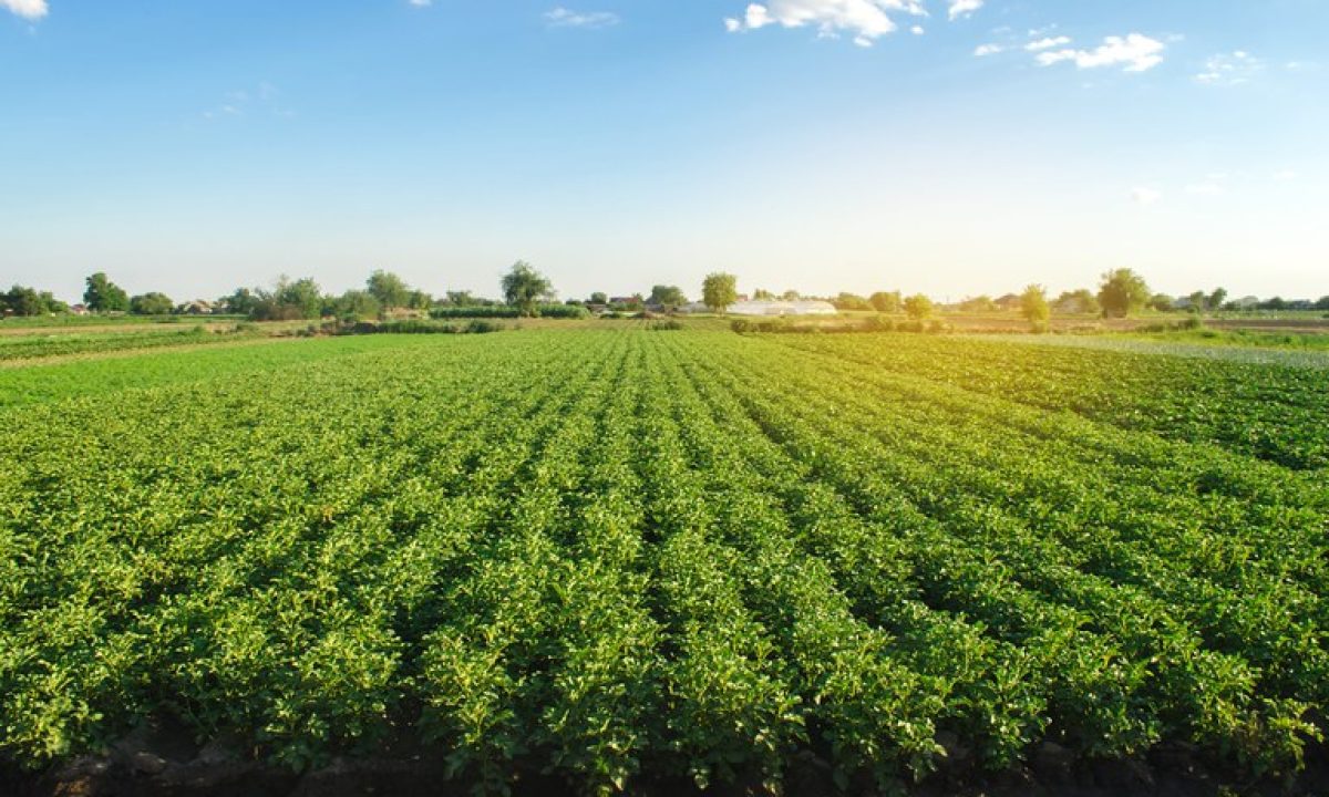 5d8ce484-884b-46d1-9056-71532880e502