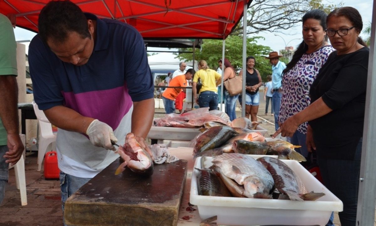 ????????????????????????????????????